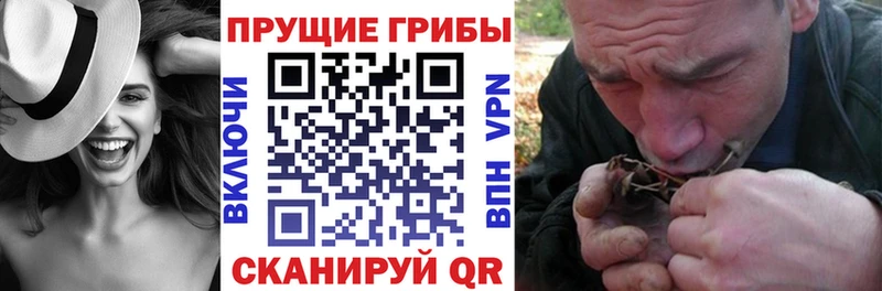 Галлюциногенные грибы GOLDEN TEACHER  наркошоп  Малгобек 
