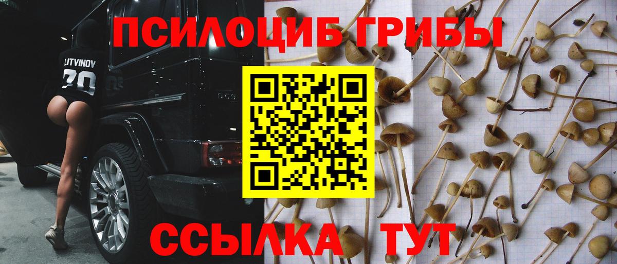 Псилоцибиновые грибы Magic Shrooms  Вход с VPN  Галлюциногенные грибы мухоморы  Малгобек 