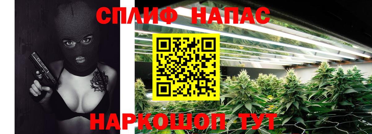 Конопля White Widow Малгобек